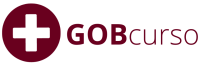 logo-gobcurso-colorida.png